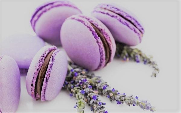 Lavanda a Colazione