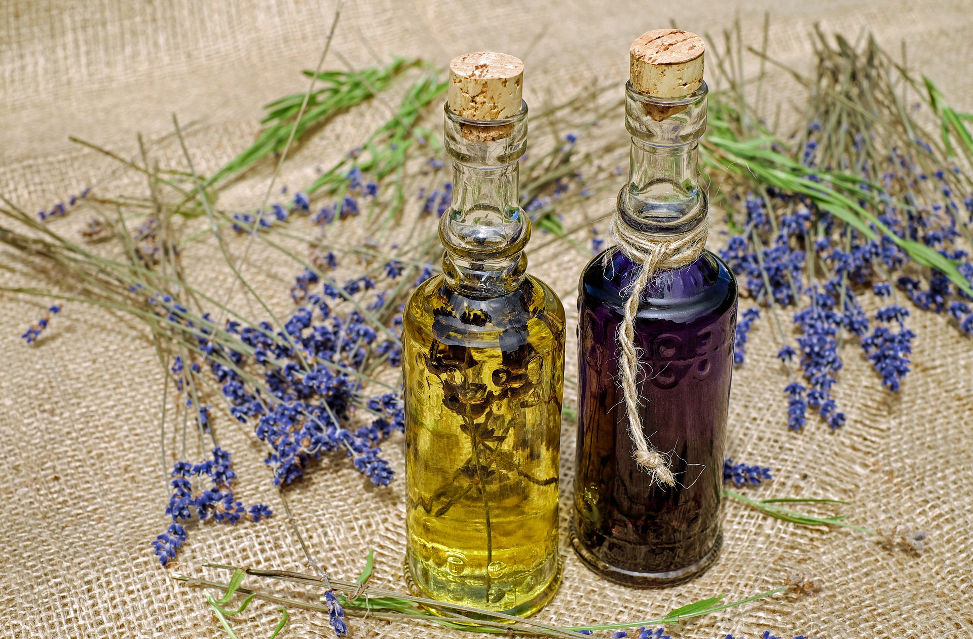 Lavanda a Colazione